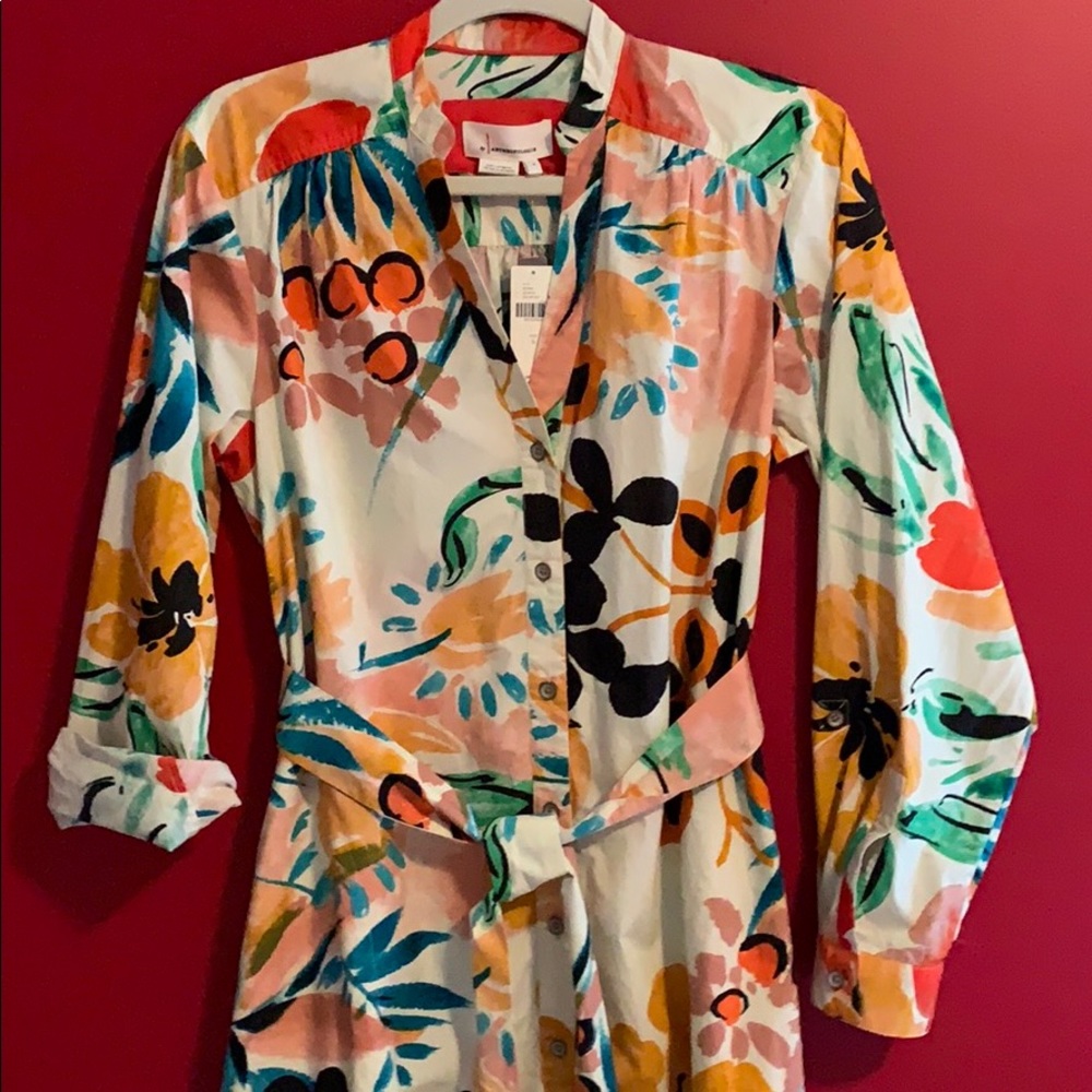 Anthropologie Floral Print Dress